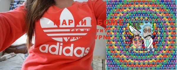 прущие грибы Балахна