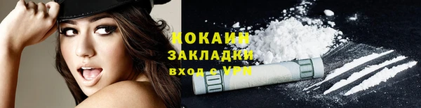 прущие грибы Балахна