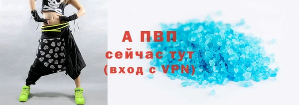 прущие грибы Балахна