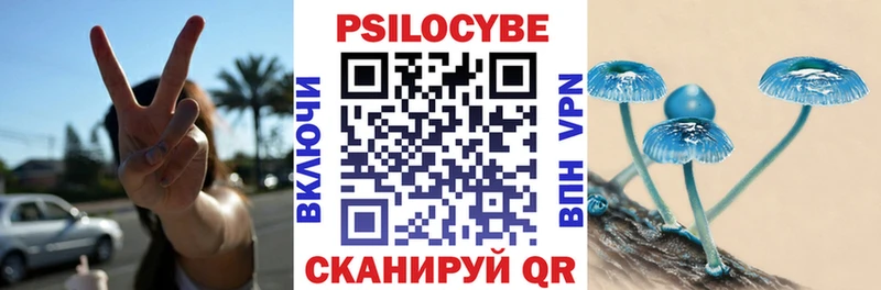 Купить где Сосновый Бор Галлюциногенные грибы Psilocybe